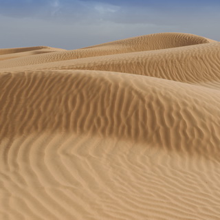 Rolling sanddunes